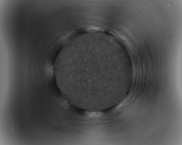 X0000092320621200709211330
