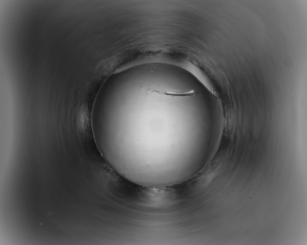 X0000092320623200709211330