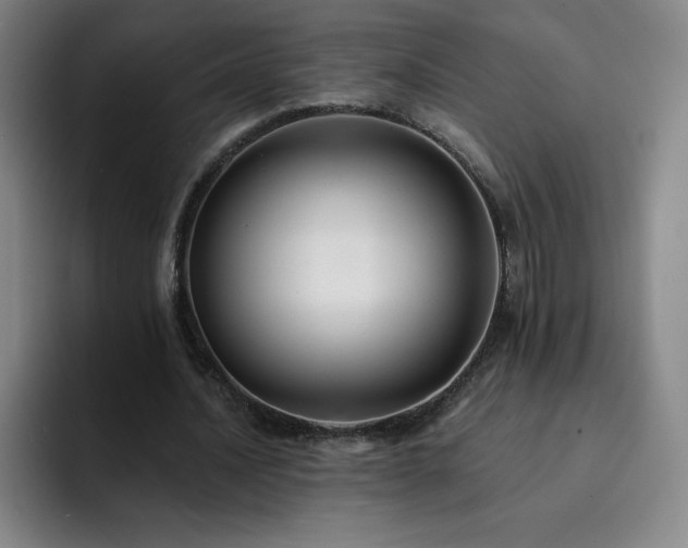 X0000092320628200709211330