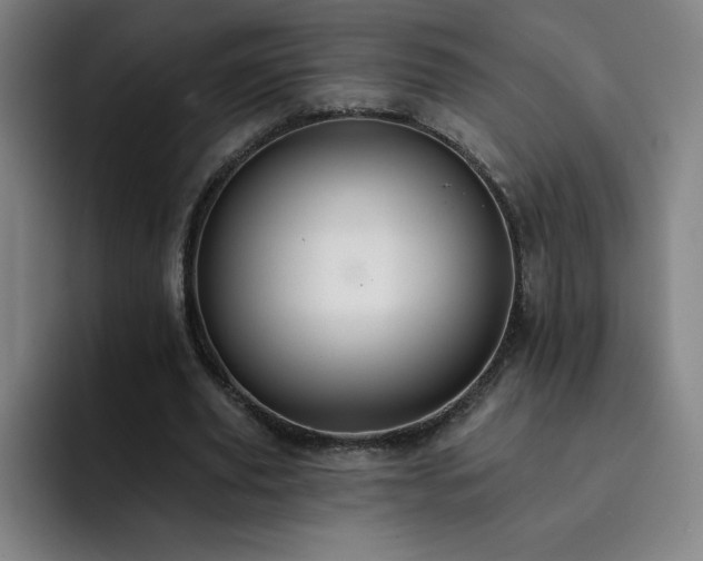 X0000092320629200709211330