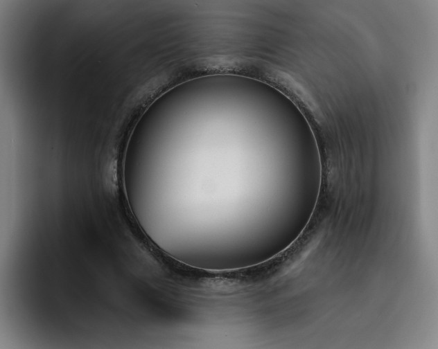 X0000092320633200709211330