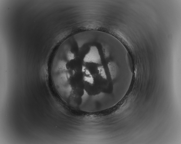 X0000092320634200709211330