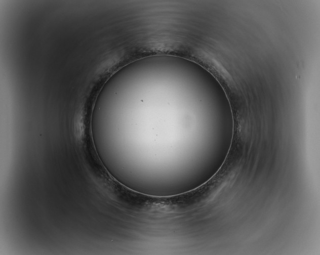X0000092320635200709211330