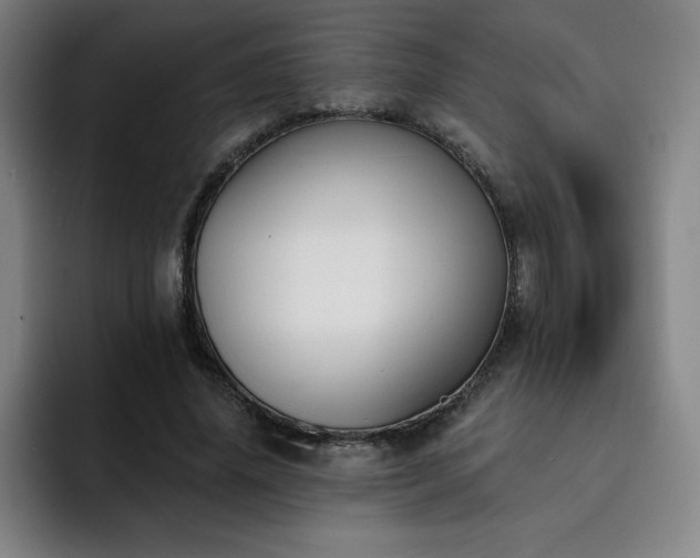 X0000092320636200709211330