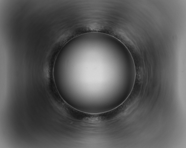 X0000092320639200709211330
