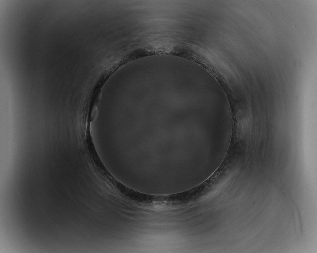 X0000092320641200709211330