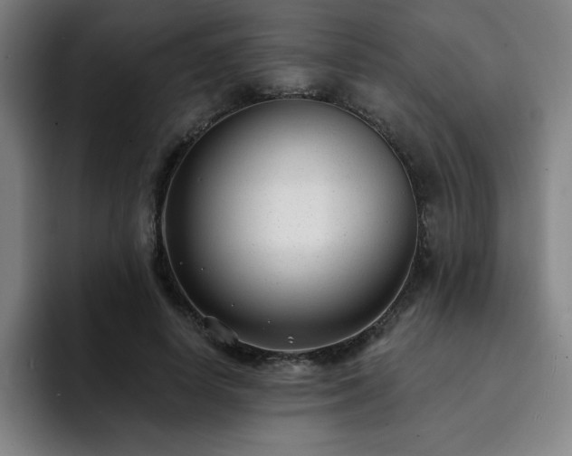 X0000092320642200709211330
