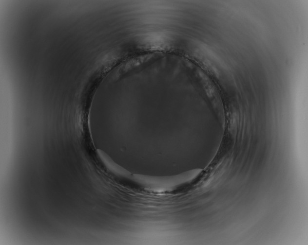 X0000092320643200709211330