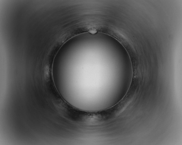 X0000092320646200709211330
