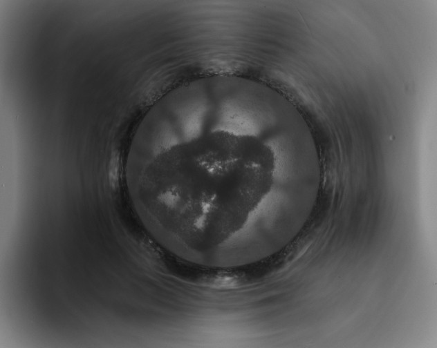 X0000092320647200709211330