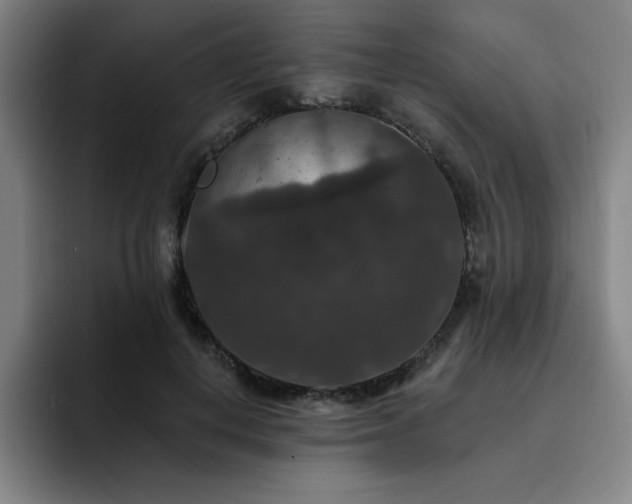 X0000092320648200709211330