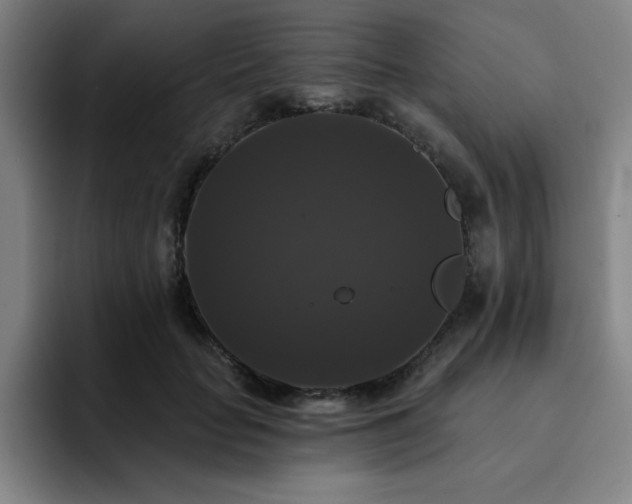 X0000092320653200709211330
