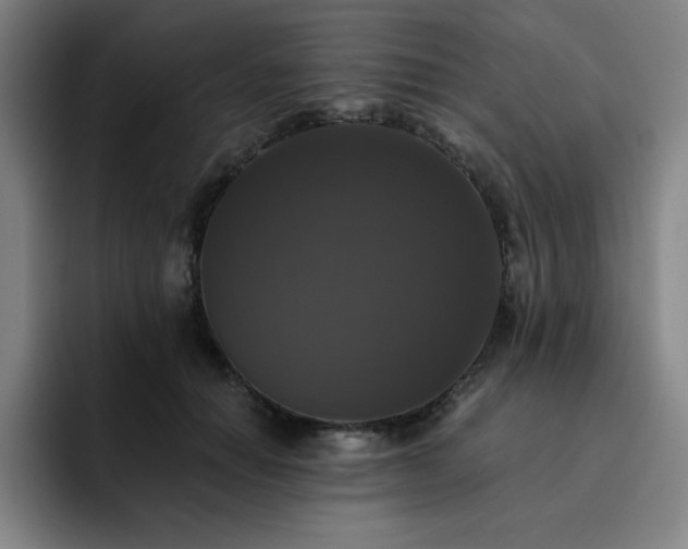 X0000092320654200709211330