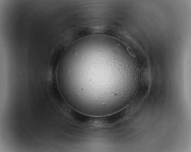 X0000092320655200709211330