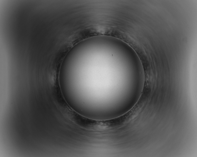 X0000092320656200709211330