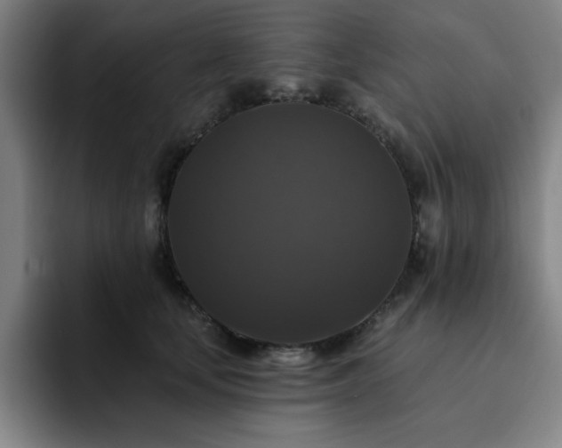 X0000092320659200709211330