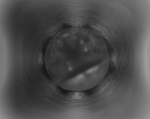X0000092320663200709211330