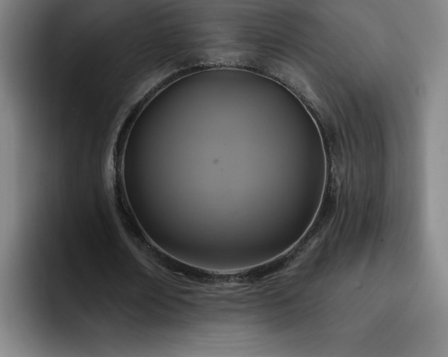 X0000092320674200709211330