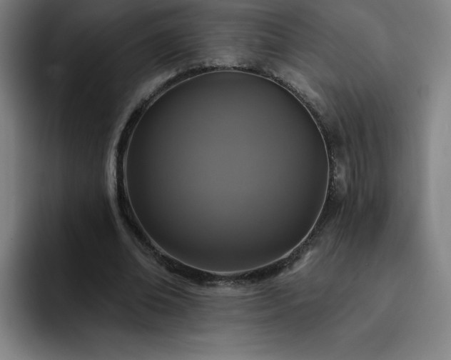 X0000092320678200709211330