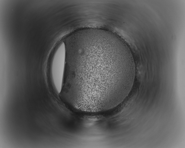 X0000092320679200709211330