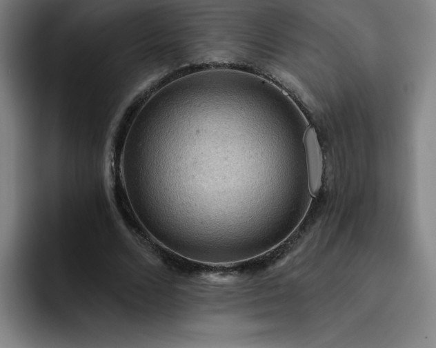 X0000092320680200709211330