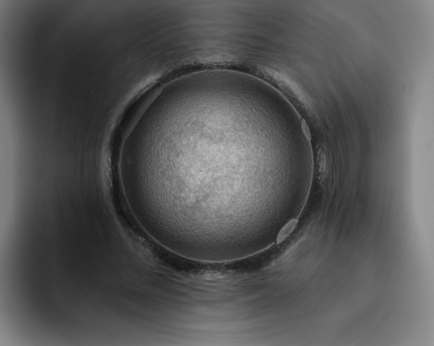 X0000092320684200709211330