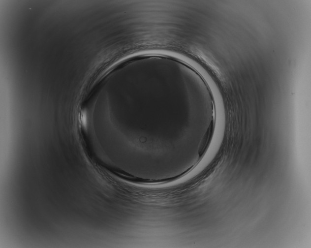 X0000092320685200709211330