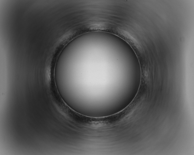 X0000092320686200709211330