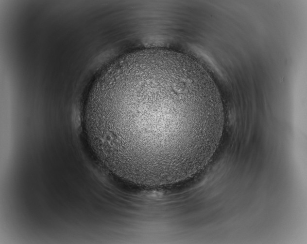 X0000092320687200709211330