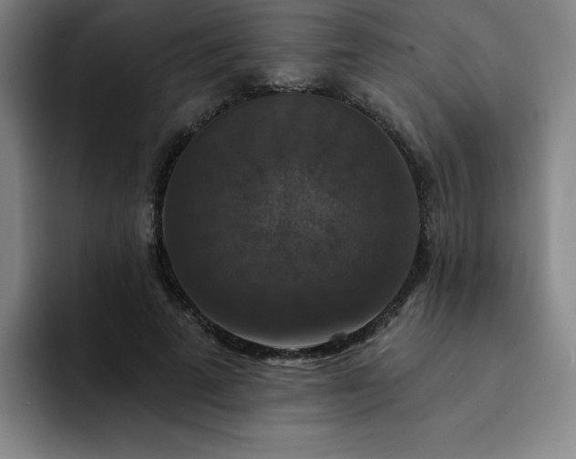X0000092320689200709211330