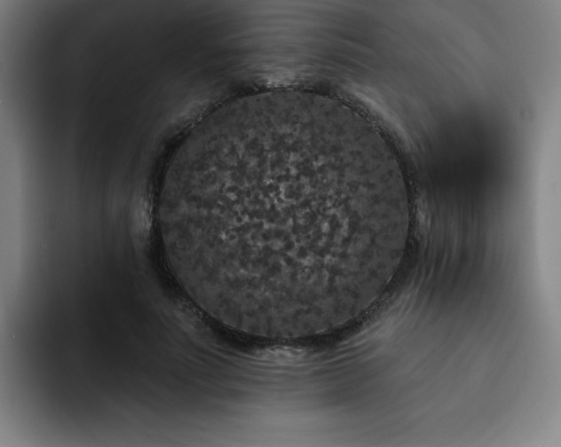 X0000092320691200709211330