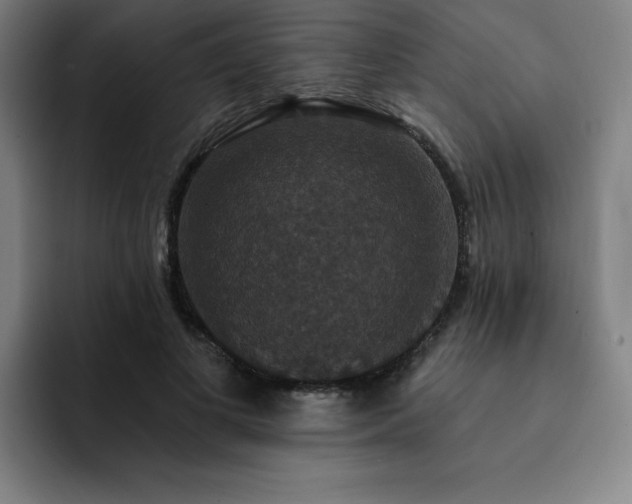 X0000092320693200709211330