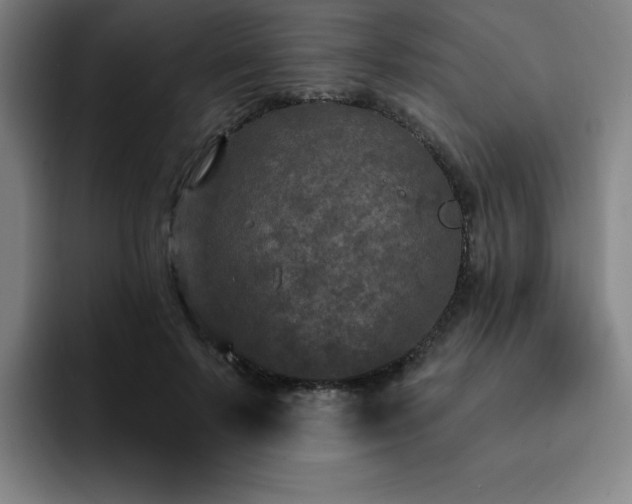 X0000092320695200709211330