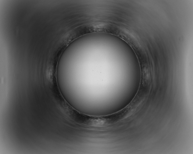 X0000092320698200709211329