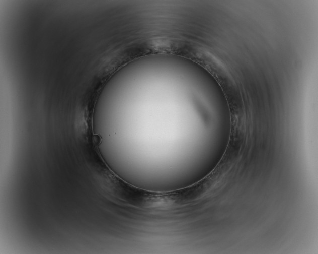 X0000092320702200709211329