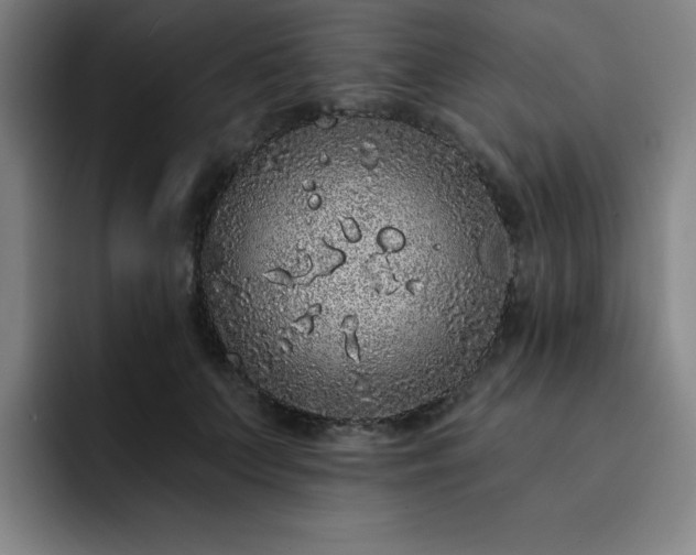 X0000092320703200709211329
