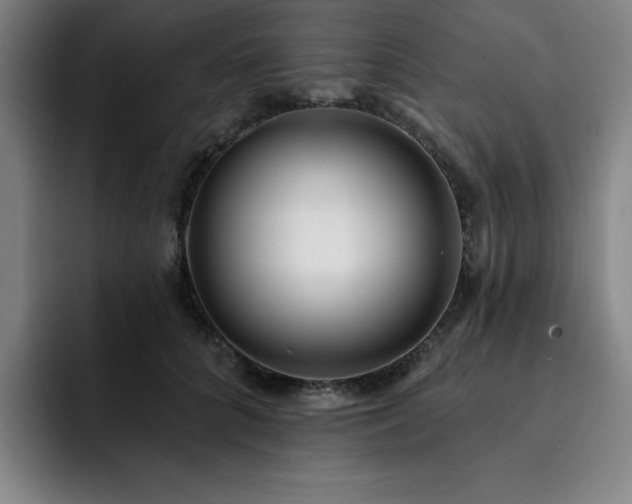 X0000092320704200709211329
