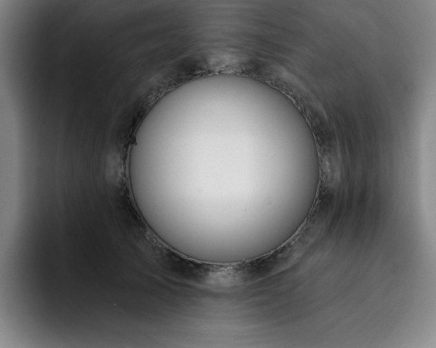 X0000092320705200709211329