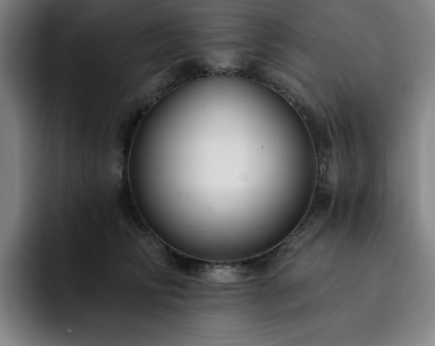 X0000092320710200709211329