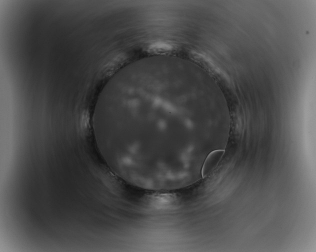 X0000092320711200709211329