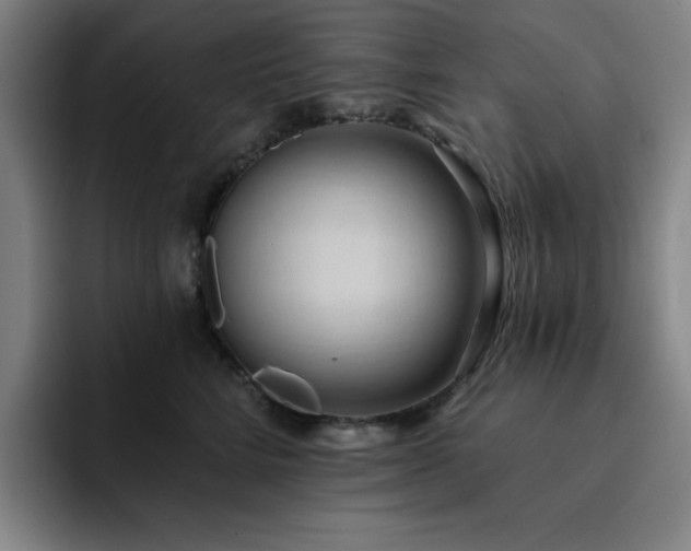 X0000092320712200709211329