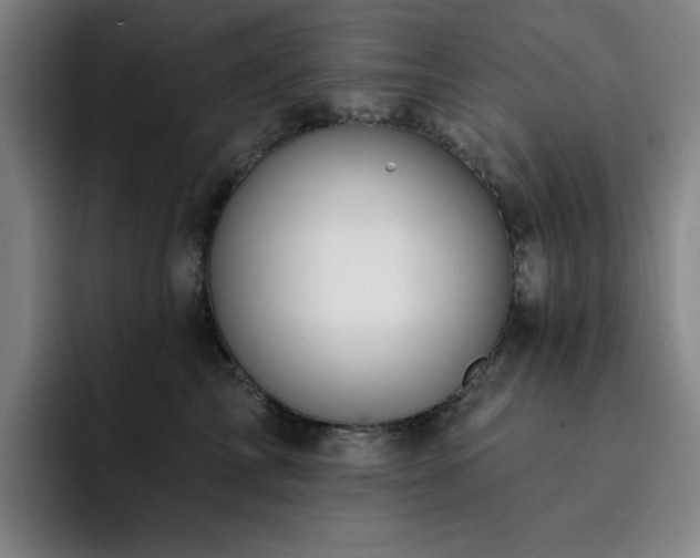 X0000092320713200709211329