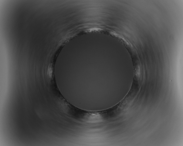 X0000092320715200709211329