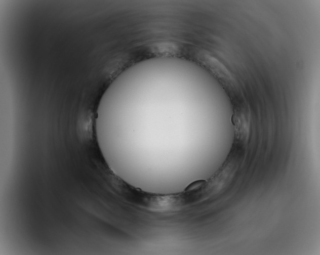 X0000092320717200709211329