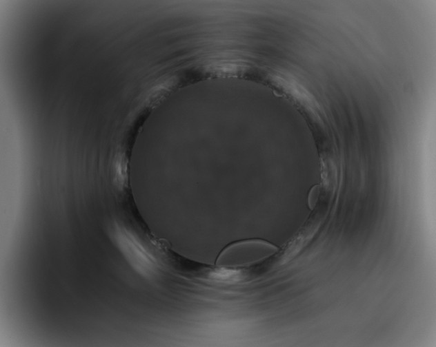 X0000092320718200709211329