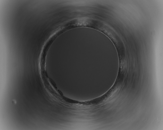 X0000092320722200709211329