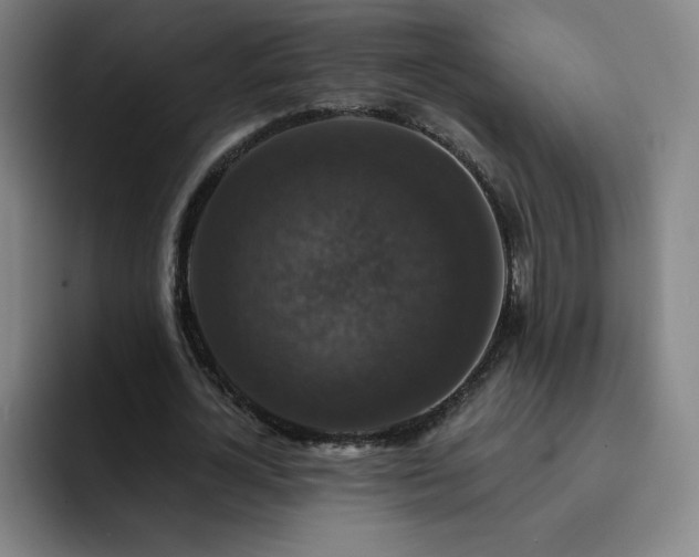 X0000092320724200709211329