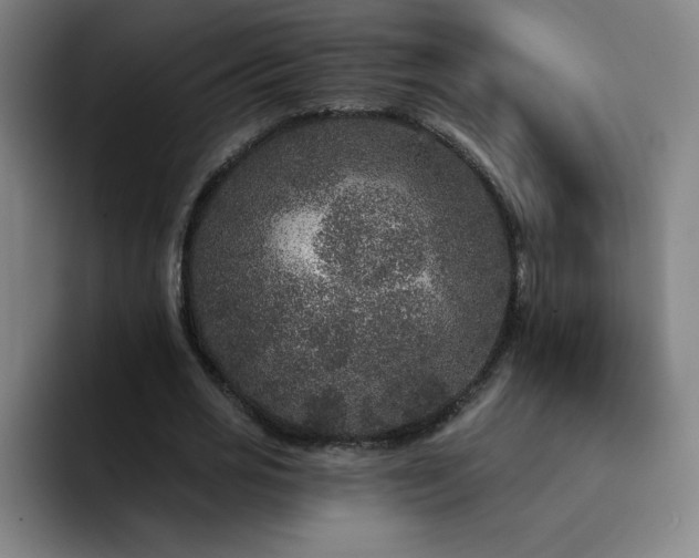 X0000092320725200709211329