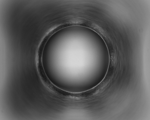 X0000092320726200709211329