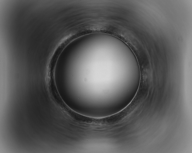 X0000092320727200709211329